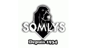 Somlys