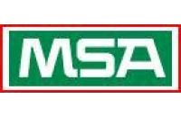 MSA