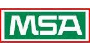 MSA