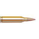 Munitions HORNADY Cal.243win 87gr SST Custom Lite