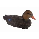 APPELANT CANARD COLVERT FEMELLE HD FUZYON CHASSE