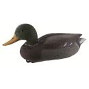 APPELANT PLAST. CANARD COLVERT MALE