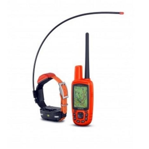 Montre garmin on sale reperage chien
