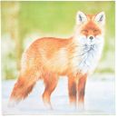 20 SERVIETTES RENARD