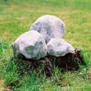 PIERRES de SEL GEMME sac de 25 kg Vitex