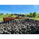 CARABINE A VERROU CZ 550 MAGNUM CALIBRE 375H&H AVEC LUNETTE SCHMIDT & BENDER