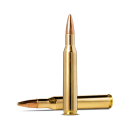 Munitions NORMA .270 Win Jaktmatch 8.4g/130gr