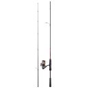 Pack canne à pêche DAIWA Ninja tsuki JB 4 X 2,13m 5-21G 106g + moulinet DAIWA + tresse