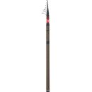 CANNE DAIWA NINJA TROUT 380 TE