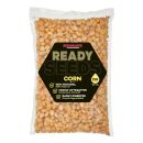 Graines cuites STARBAITS ready seeds corn maïs 1kg