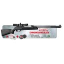 Pack cerise 2025 GAMO quiet black cal.4.5mm 19.9J