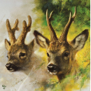 20 serviettes papier LOVERGREEN brocard 