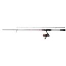 Ensemble canne DAIWA ninja tsuki 2026 + moulinet