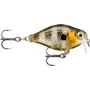 Leurre RAPALA x-light crank shal glassy gill UV 3.5cm