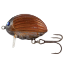 Leurre insecte FOX salmo floating lil bug 2cm 2.8g may bug