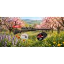 Pack cerise 2026 carabine a air comprimé GAMO swarm maxxim igt od 