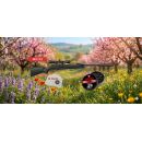 Pack cerise 2026 carabine a air comprimé GAMO quiet cat 