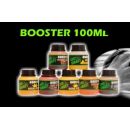 BOOSTER DE TREMPAGE CARP TARGET INDIAN SPICE