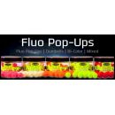 BOUILLETTE FLOTTANTE FUN FISHING ULTRA FLUO POP UPS  SQUID & GARLIC