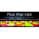 BOUILLETTE FLOTTANTE FUN FISHING ULTRA FLUO POP UPS MUSSEL CRAYFISH