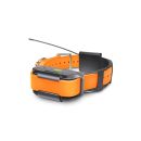 Collier GPS Dogtra Pathfinder Orange