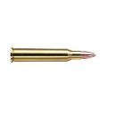 Munitions RWS cal.5.6x50 magnum tms 63gr 4.1g par 20