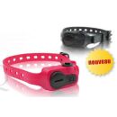 Collier anti-aboiement Dogtra iQ pour Chiens de 5 kgs ou plus