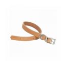 Collier pour chien en cuir naturel