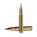 Munitions NORMA Cal.9.3X62 Evostrike 11.9g 184gr