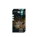Munitions Sauvestre balle flèche BFS Cal.12/67 22.5gr