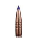 Munitions SAKO Cal. 300 Win. Mag. POWERHEAD II 11,7g 180 Gr