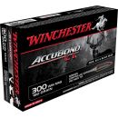 Balle Munitions WINCHESTER 300wm Accubond CT 300wm 180gr 11.66g