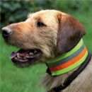 Collier de sécurité réfléchissant pour chien