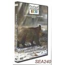 DVD Seasons Grandes Battues alsaciennes