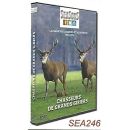 DVD Seasons Chasseurs de Grands Gibiers