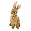 Peluche Lapin 