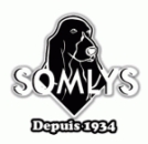 Somlys