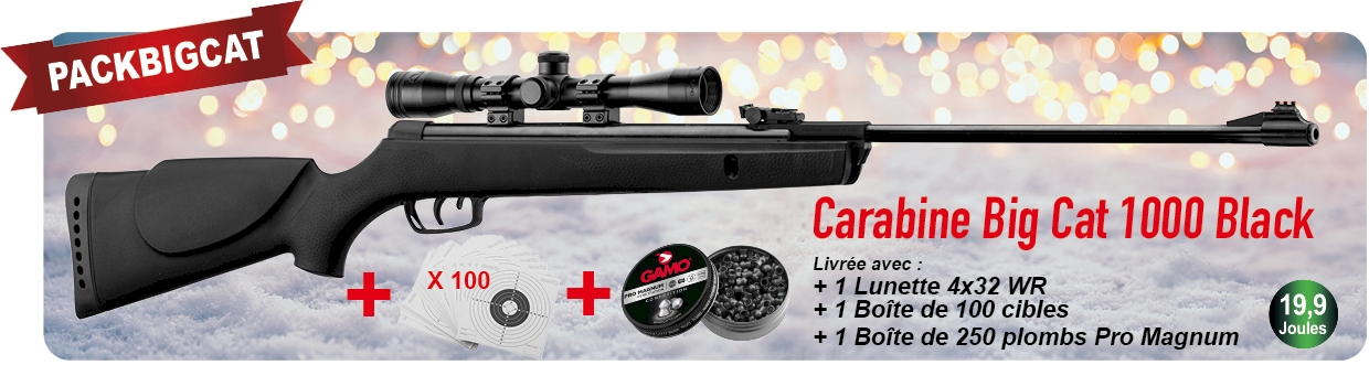 Pack carabine à air comprimé GAMO Big CAT 1000 Cal 4.5 - 19.9J +