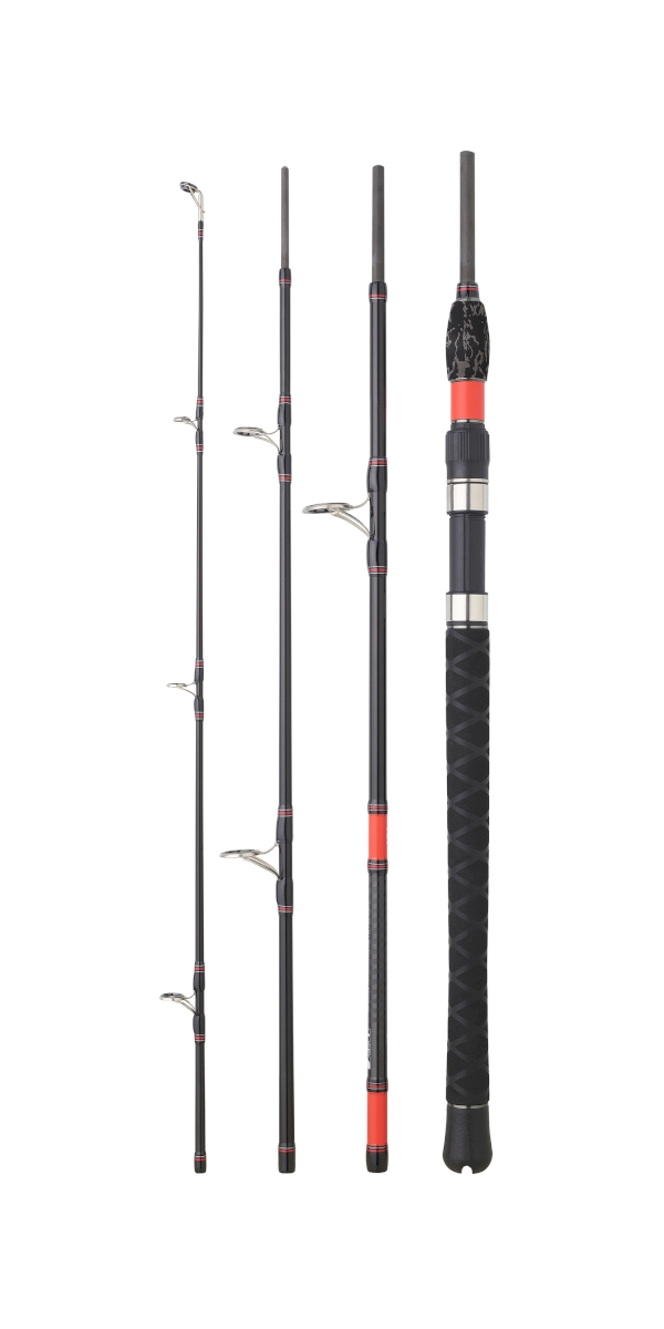 Daiwa Megaforce Big Fish 2022 MFBF244XHCF - Cannes Mer (9768321